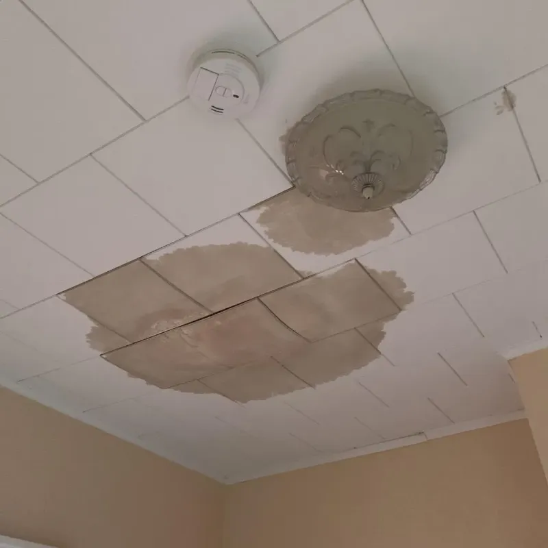 Ceiling Water Damage Repair in Parke County, IN