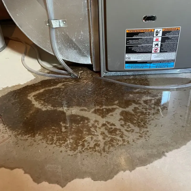 Pipe Burst and Leak Restoration in Parke County, IN