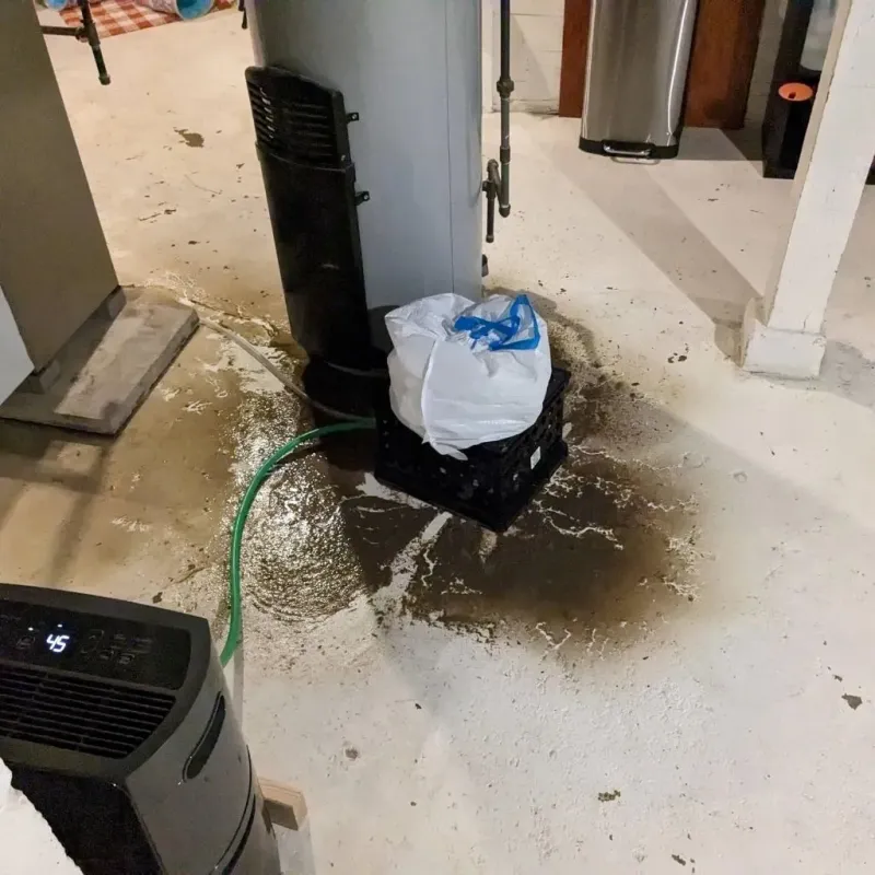 Sewage Backup Cleanup Service in Parke County, IN